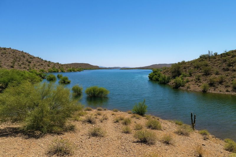 Best Shower Installation pros in New River, AZ